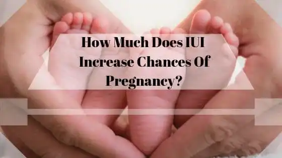 How Much Does IUI Increase Chances Of Pregnancy?