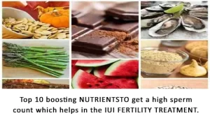 Top 10 boosting Nutrients to Get a High Sperm Count Which Helps in the IUI Fertility Treatment